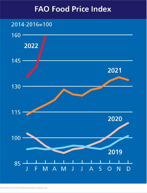 food inflation 2022